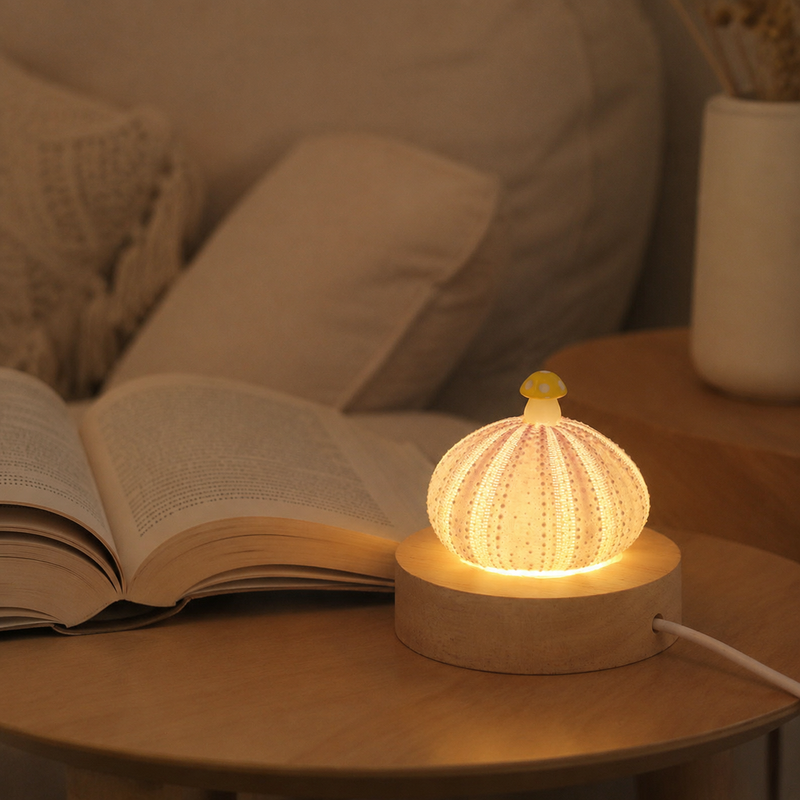 A layer of shell — single sea urchin lamp