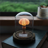 Pink Sea Urchin / Standard